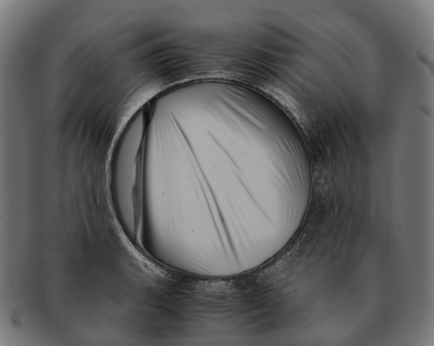 X0000091491135200709131825