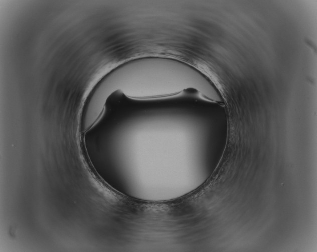 X0000091491136200709131825
