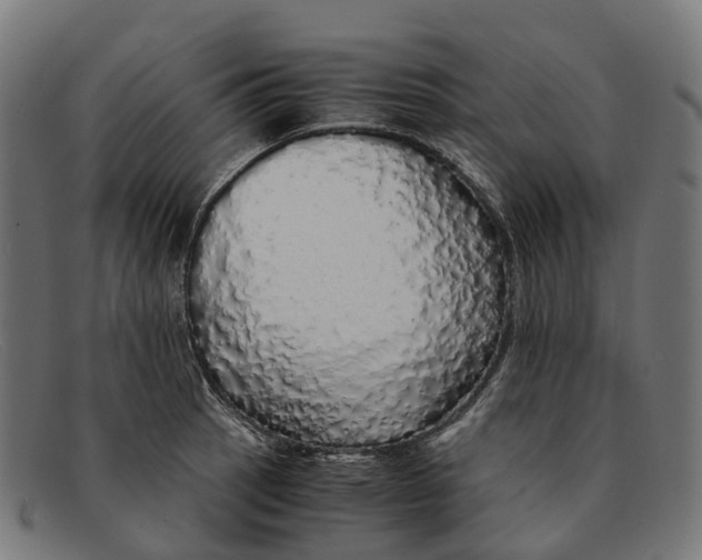 X0000091491137200709131825