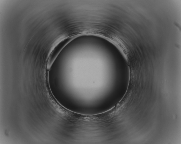 X0000091491138200709131825