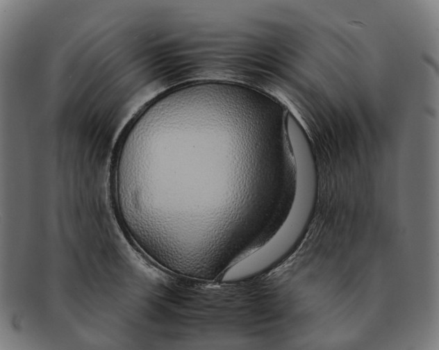 X0000091491139200709131825