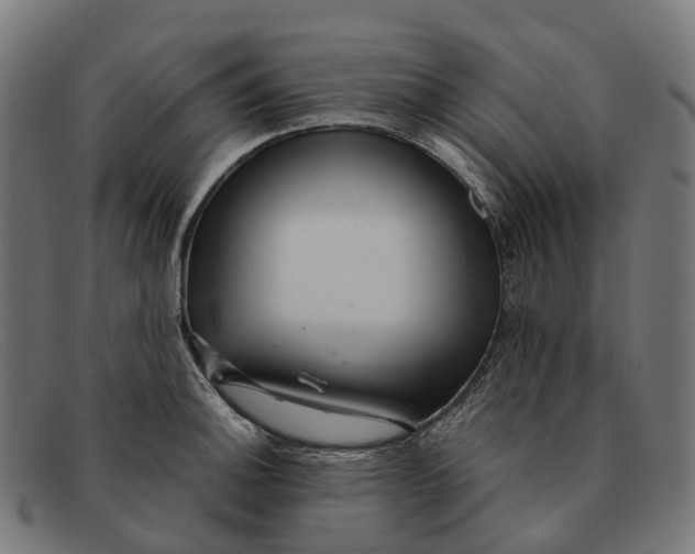 X0000091491140200709131825
