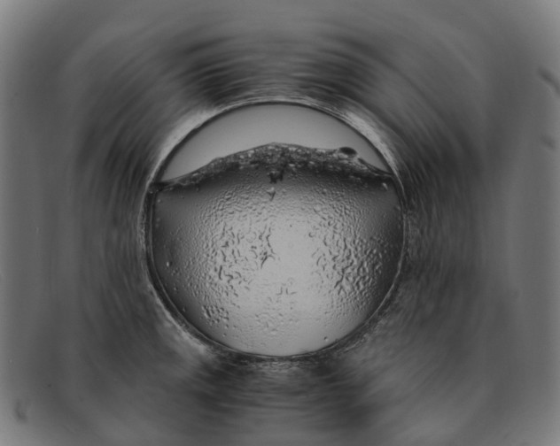 X0000091491141200709131825