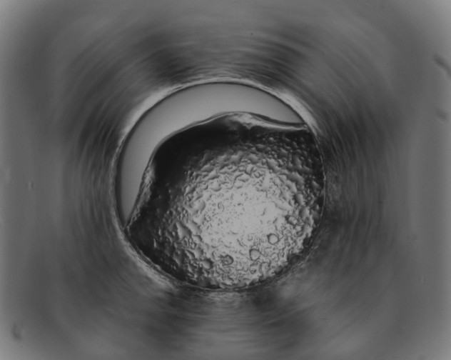 X0000091491142200709131826