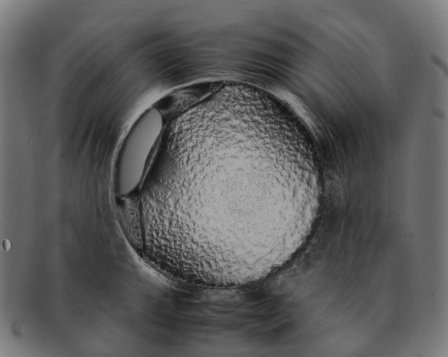 X0000091491143200709131826