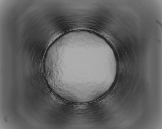 X0000091491145200709131826