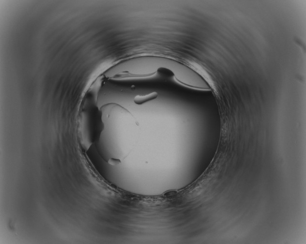 X0000091491146200709131826