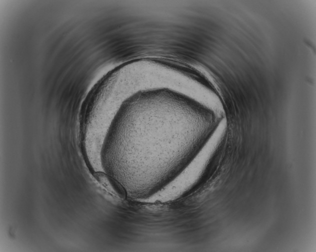 X0000091491147200709131826