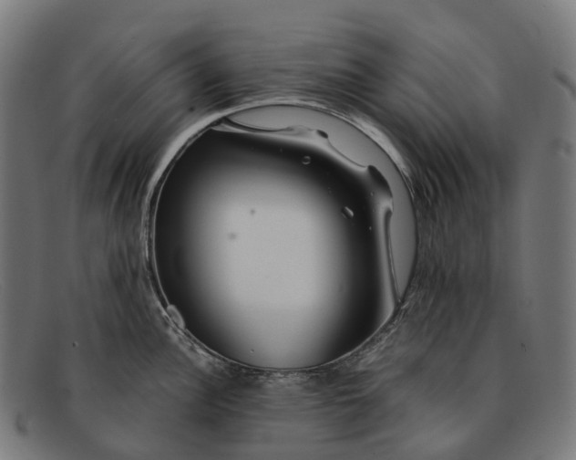 X0000091491148200709131826