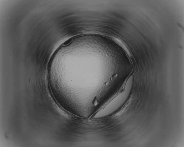 X0000091491149200709131826