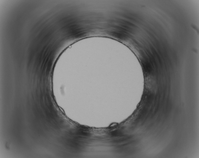 X0000091491150200709131826