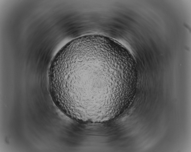 X0000091491151200709131826
