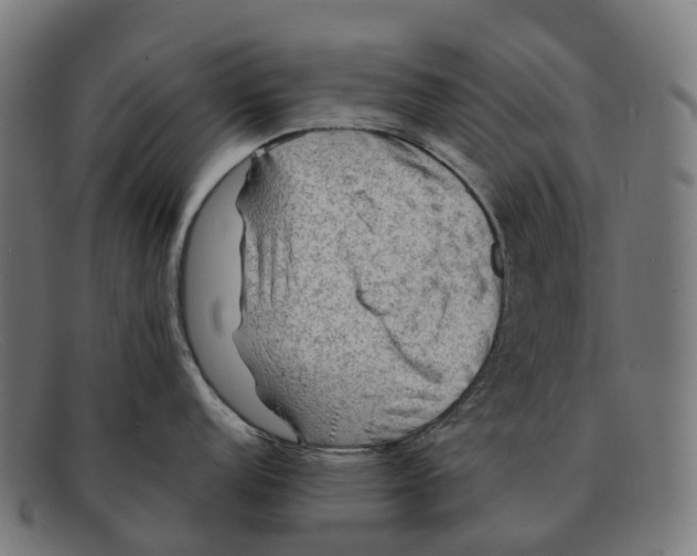 X0000091491152200709131826