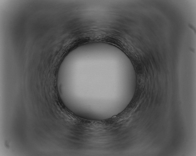 X0000091491153200709131825