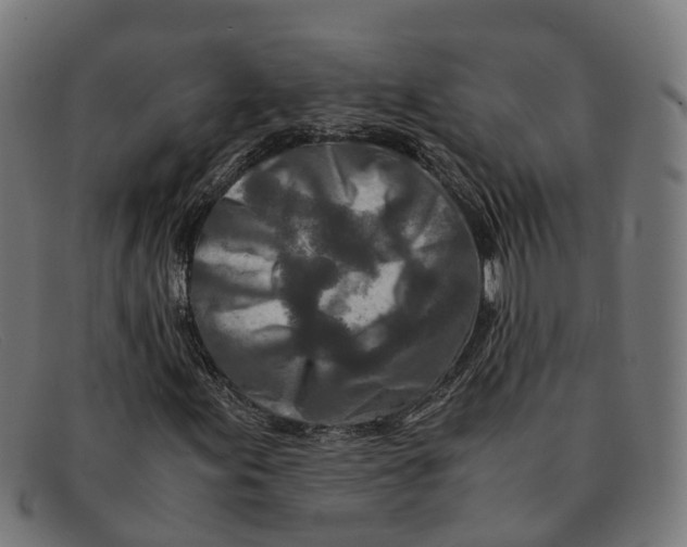 X0000091491155200709131825
