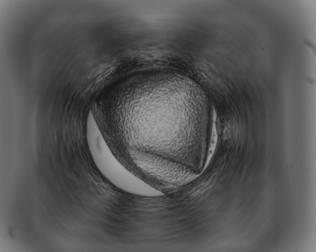 X0000091491156200709131825
