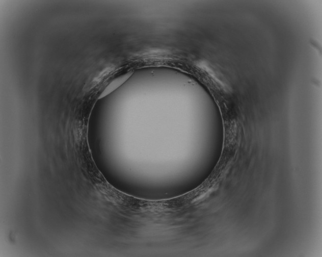 X0000091491157200709131825