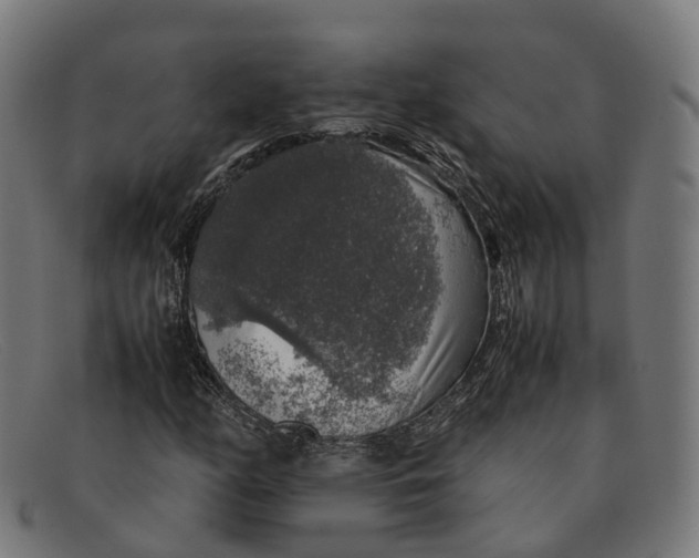 X0000091491158200709131825