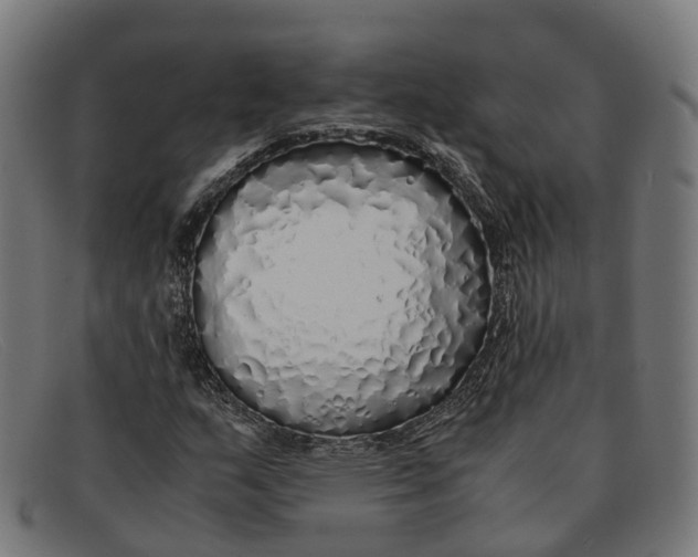 X0000091491159200709131825