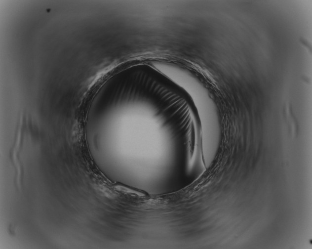 X0000091491160200709131825