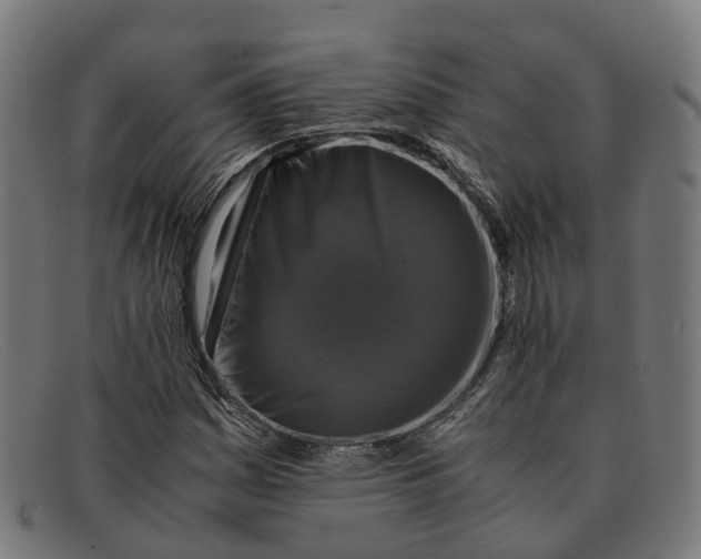 X0000091491161200709131825