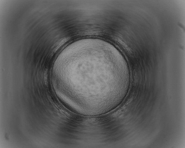 X0000091491162200709131825