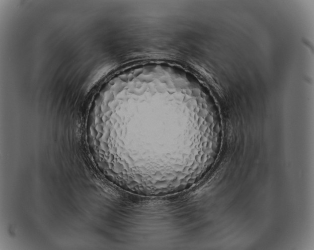 X0000091491163200709131825