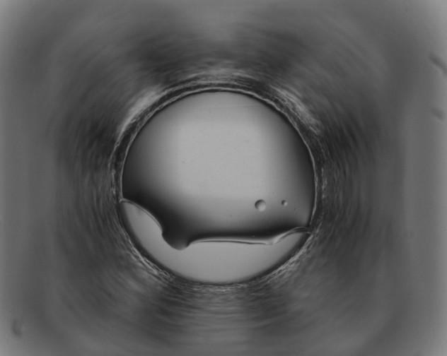 X0000091491164200709131825