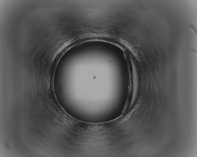 X0000091491165200709131825