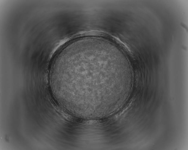 X0000091491166200709131825