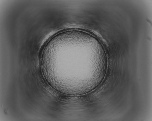 X0000091491167200709131825