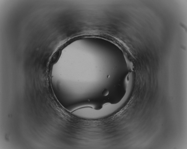 X0000091491168200709131825