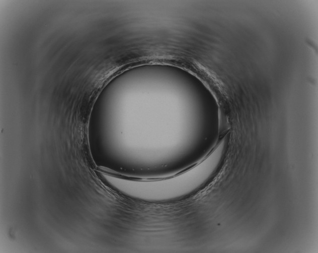 X0000091491169200709131825