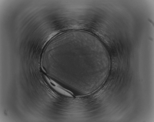 X0000091491170200709131825