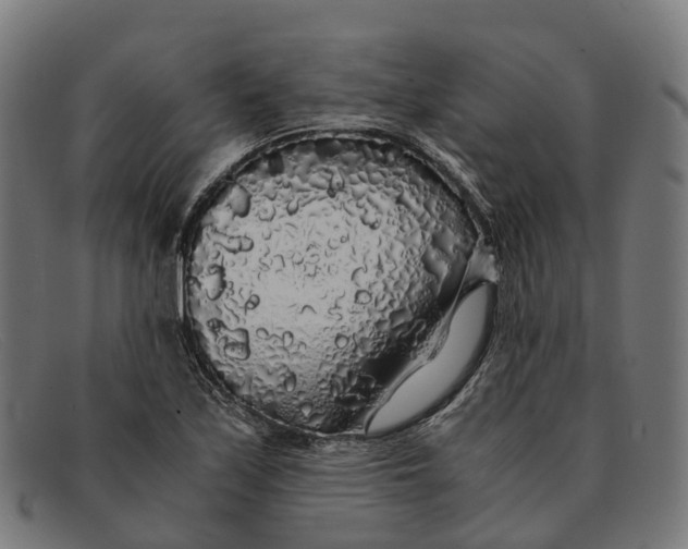 X0000091491171200709131825