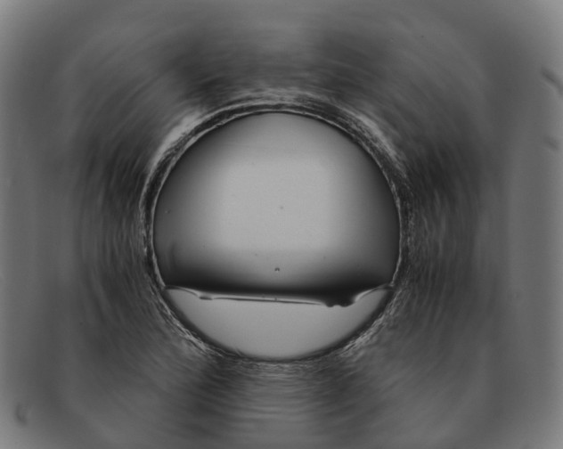X0000091491172200709131825