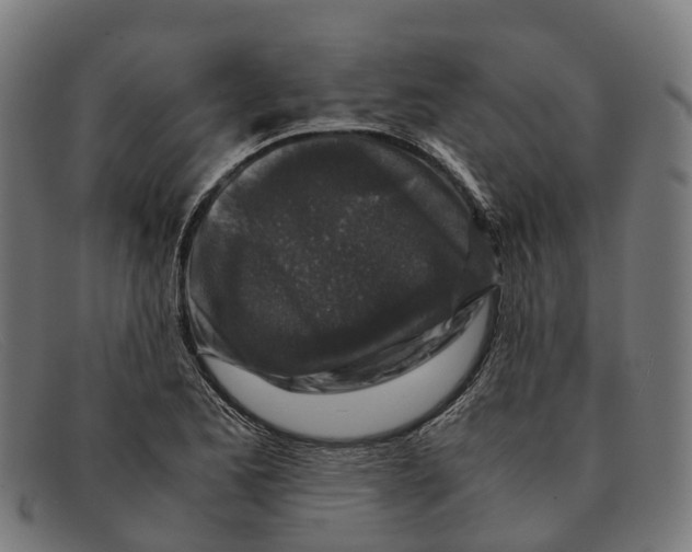 X0000091491173200709131825