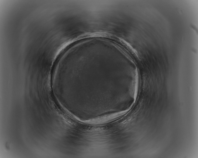 X0000091491174200709131825