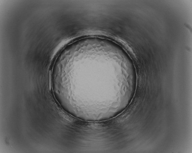 X0000091491175200709131825
