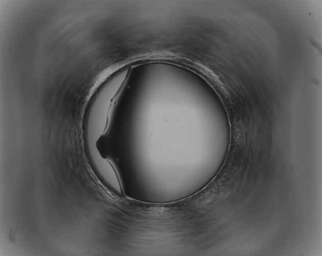 X0000091491176200709131825
