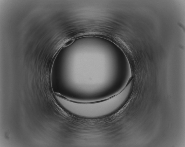 X0000091491177200709131825