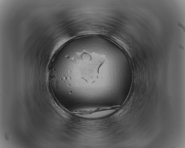 X0000091491179200709131825