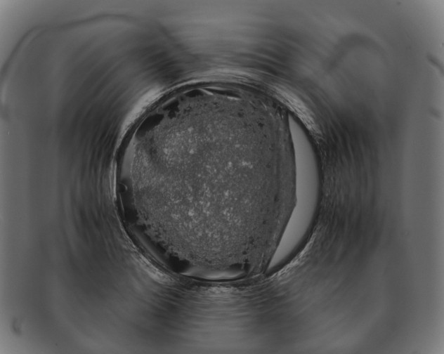 X0000091491180200709131825