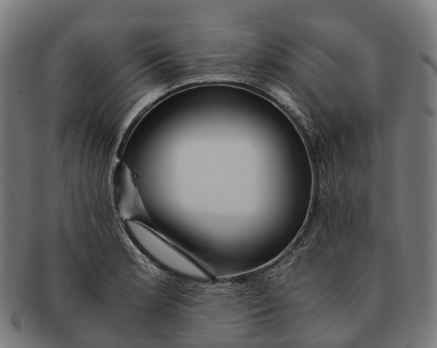 X0000091491181200709131825