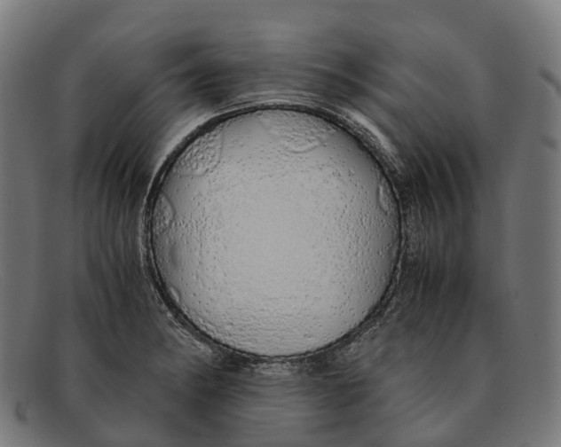 X0000091491182200709131825