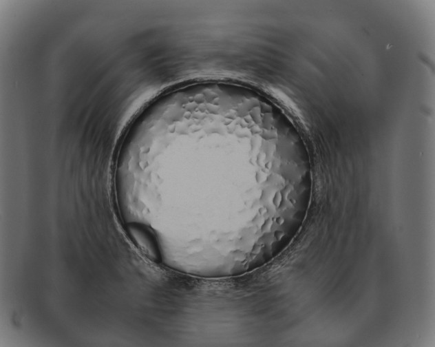 X0000091491183200709131825