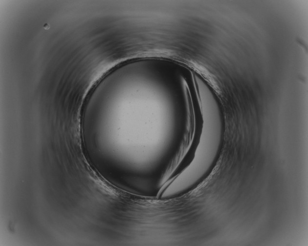 X0000091491184200709131825