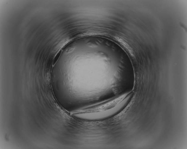 X0000091491185200709131825