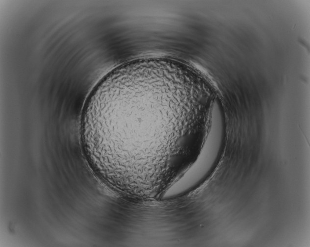 X0000091491186200709131824