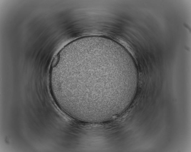 X0000091491187200709131824